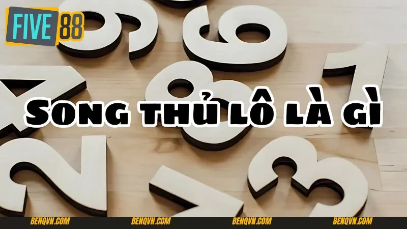 Giải thích thuật ngữ song thủ lô là gì